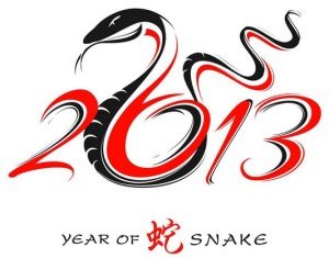 year of the snake