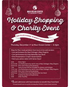 holiday-shopping-charity-event-flyer-112316