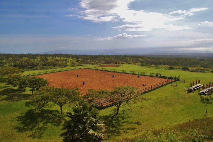 Equine Therapy Maui