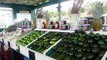 Kula Country Farms